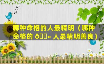 哪种命格的人最精明（哪种命格的 🌻 人最精明善良）
